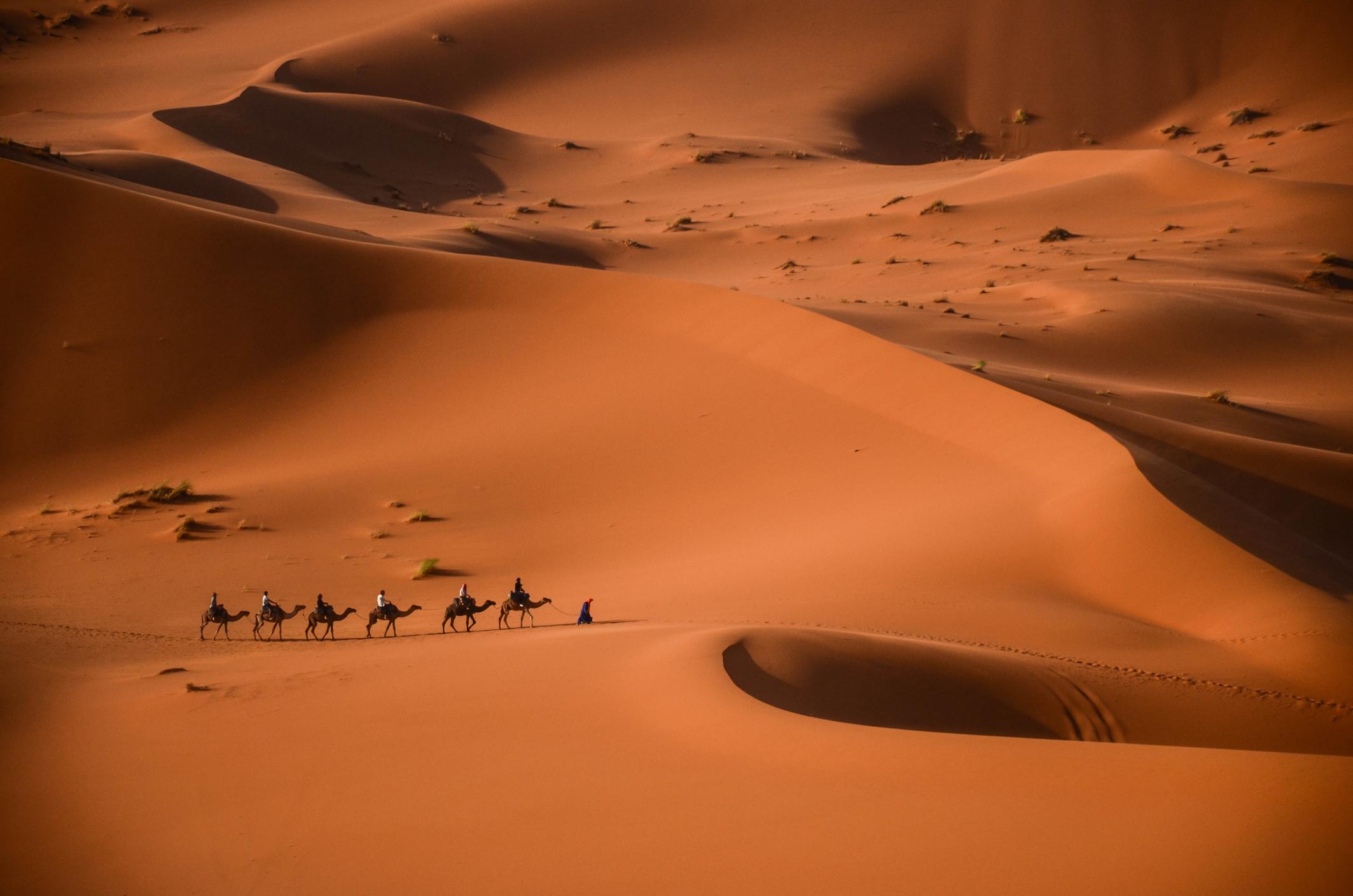 Sand dunes in the Sahara Desert, Morocco